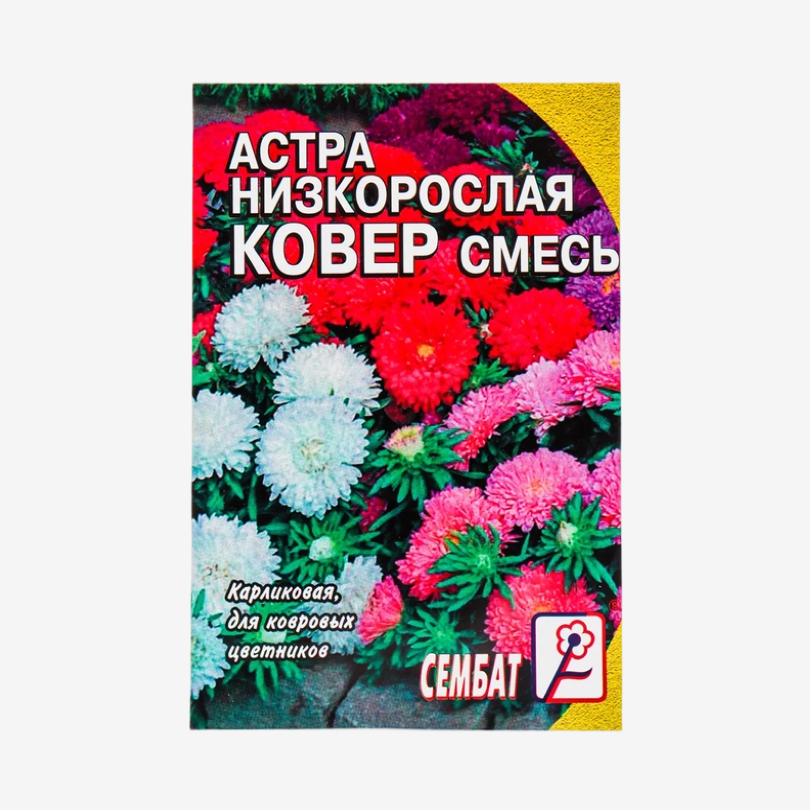 Семена цветов Астра «Ковёр»