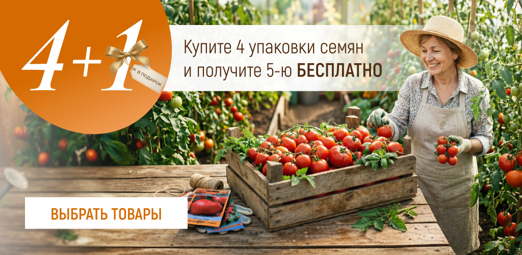 Распродажа семян 4+1